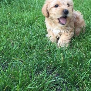 Meet your Posher, Marisol